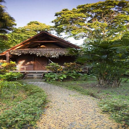 Azania Bungalows Puerto Viejo de Talamanca Exteriér fotografie