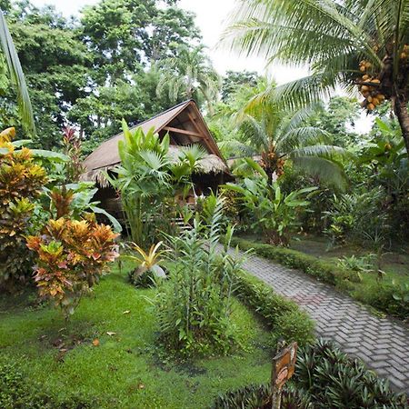 Azania Bungalows Puerto Viejo de Talamanca Exteriér fotografie