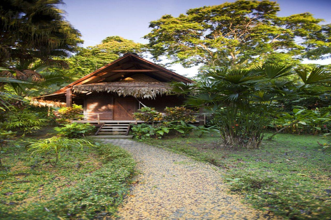 Azania Bungalows Puerto Viejo de Talamanca Exteriér fotografie
