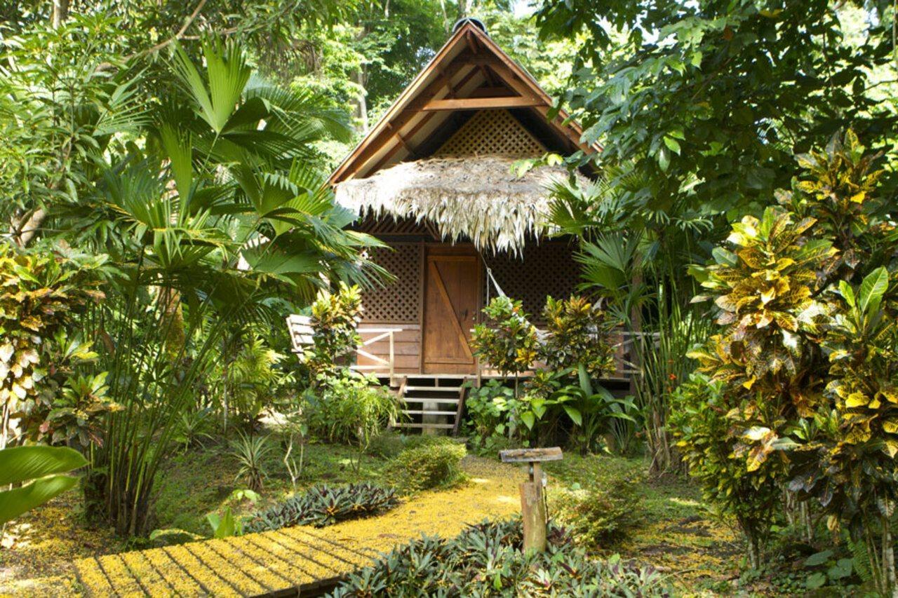 Azania Bungalows Puerto Viejo de Talamanca Exteriér fotografie