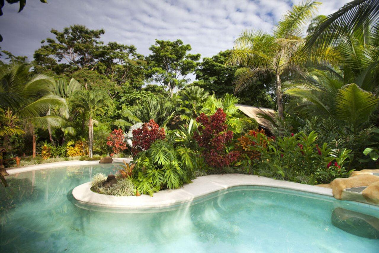 Azania Bungalows Puerto Viejo de Talamanca Exteriér fotografie