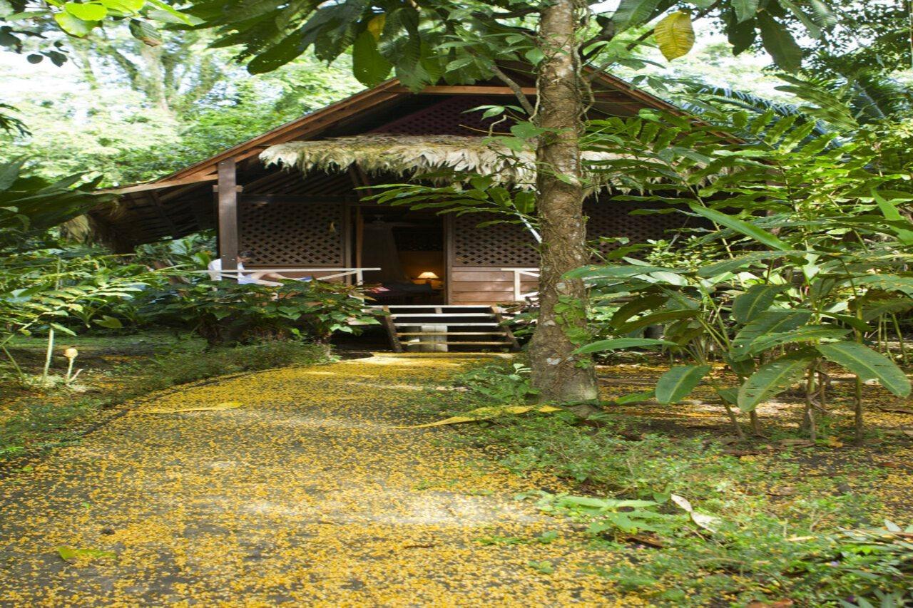 Azania Bungalows Puerto Viejo de Talamanca Exteriér fotografie