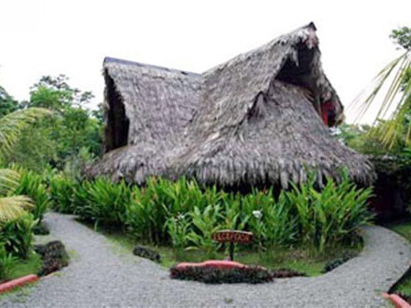 Azania Bungalows Puerto Viejo de Talamanca Exteriér fotografie