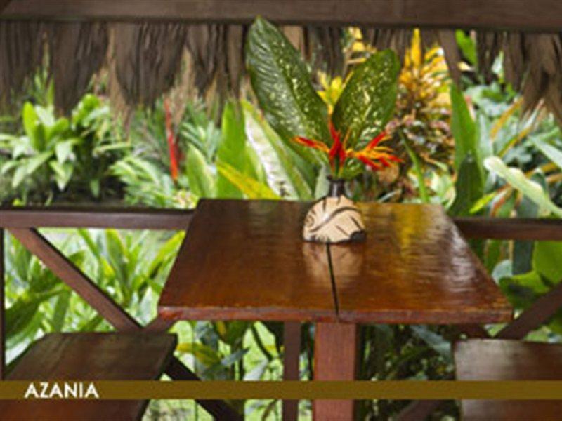 Azania Bungalows Puerto Viejo de Talamanca Exteriér fotografie