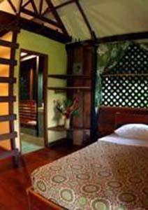 Azania Bungalows Puerto Viejo de Talamanca Exteriér fotografie